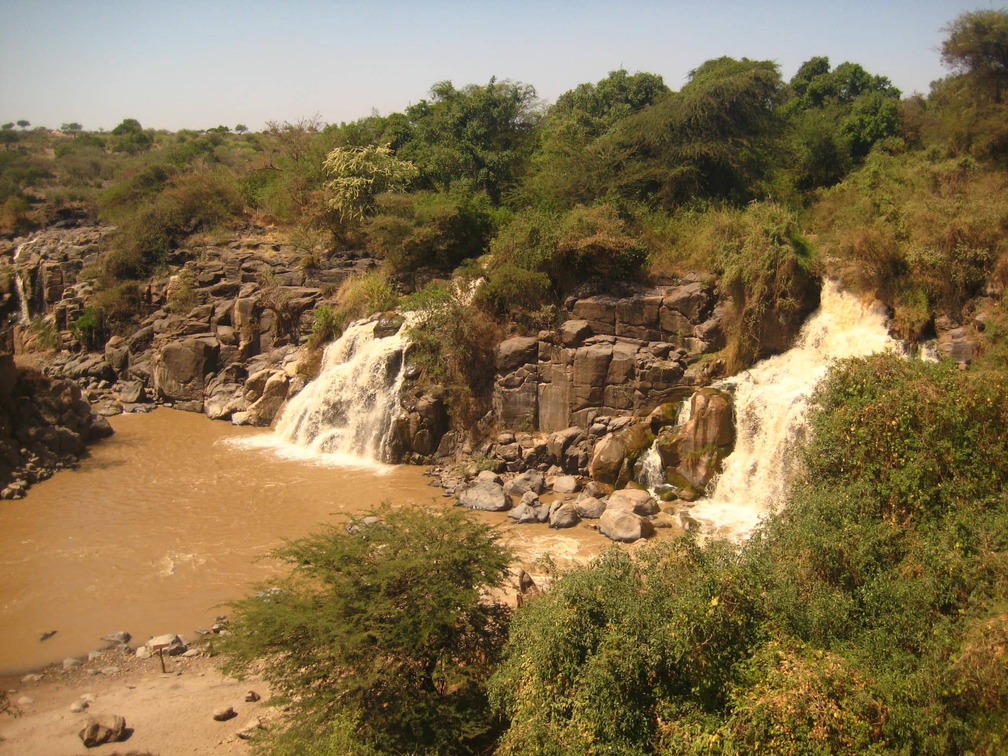 Awash National Park Safari thumbnail 2