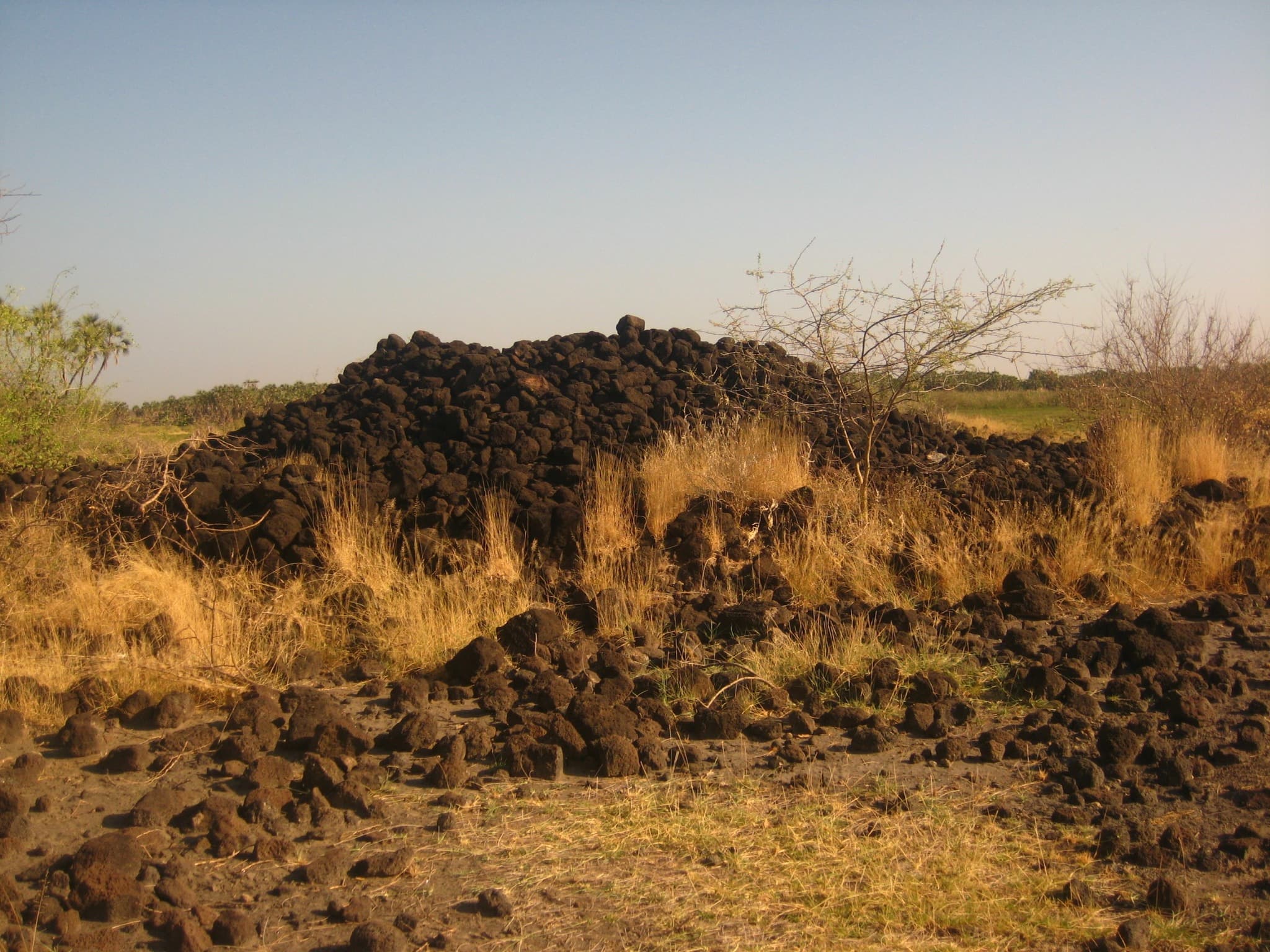Awash National Park Safari - Image 1