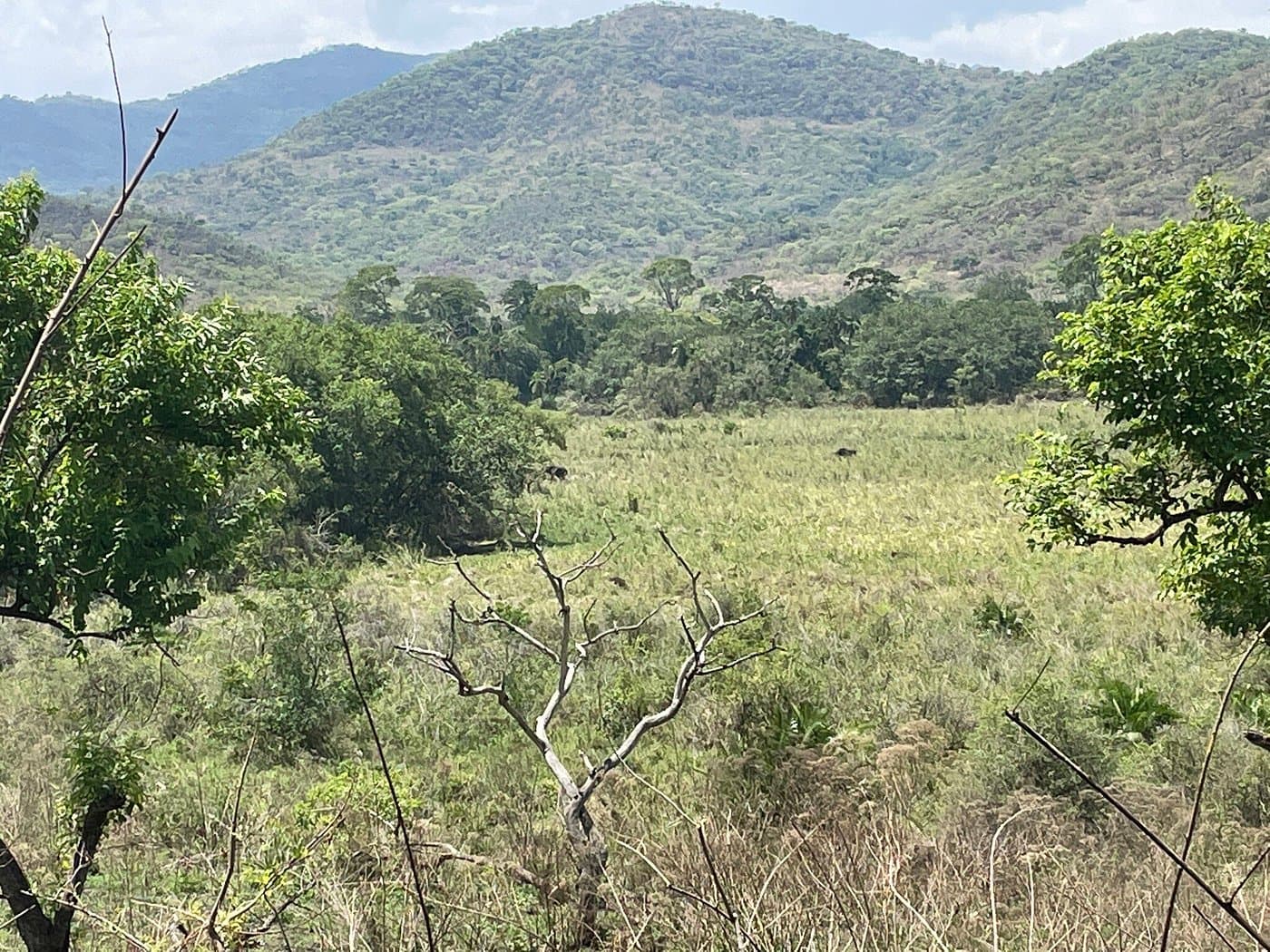 Chebera Churchura National Park thumbnail 2
