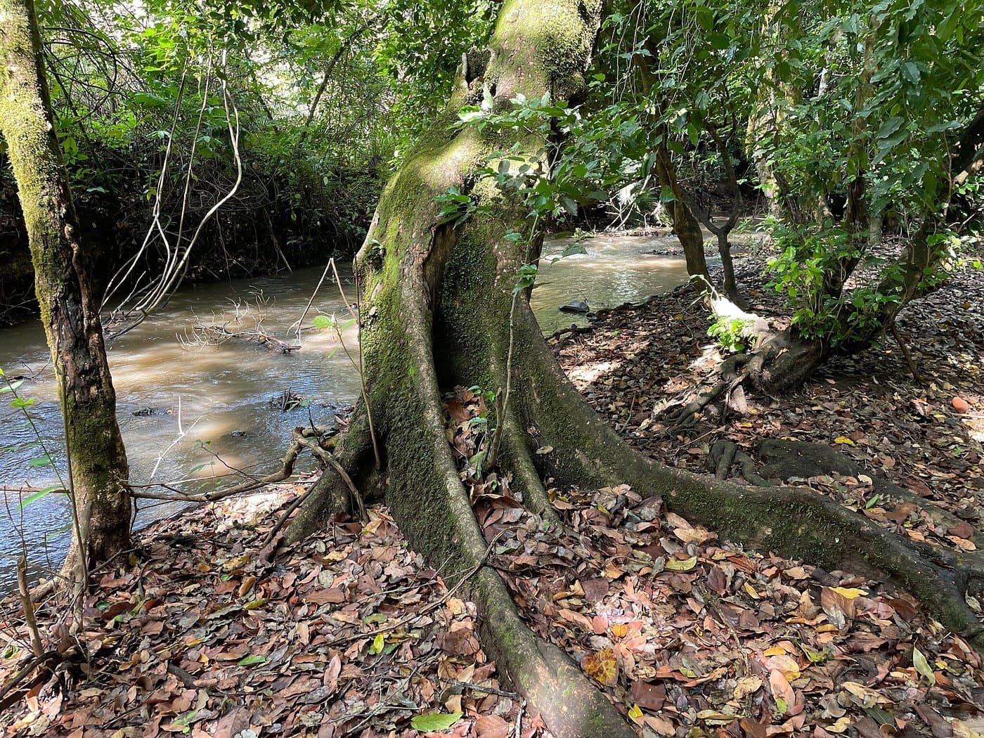 Chebera Churchura National Park thumbnail 4