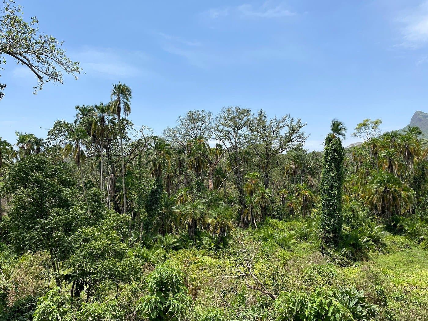Chebera Churchura National Park thumbnail 5