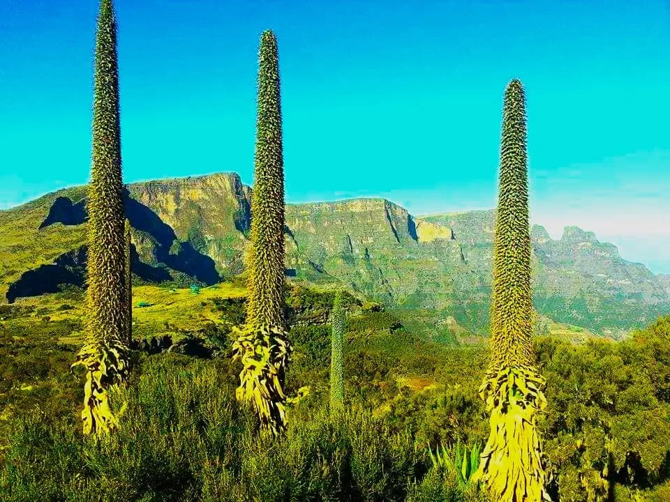 Simien Mountains Trekking thumbnail 2