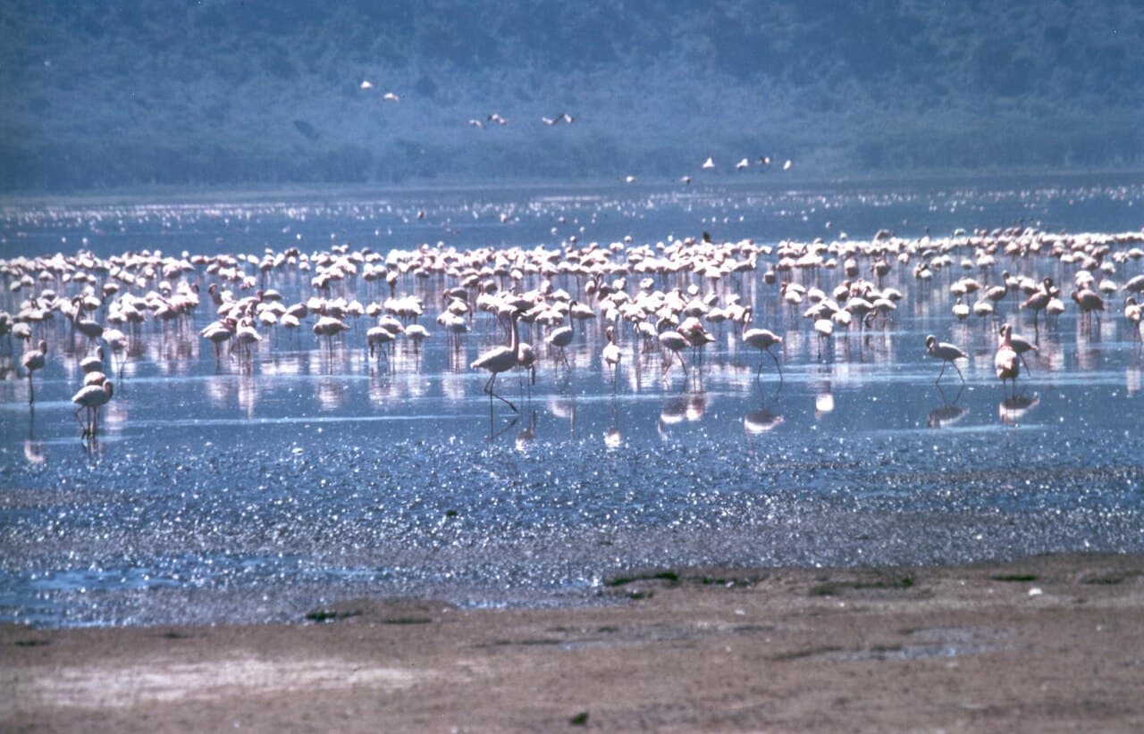 Rift Valley Lakes Circuit - Image 1